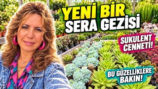 BELÇİKA’da YENİ SERA GEZİSİ #çiçek 