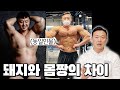 이런' 마인드가 몸짱을 만든다! 비키니 입고 싶으면 봐야하는 영상