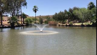 Kasco 1HP J Series Decorative Fountain - Willow Pattern