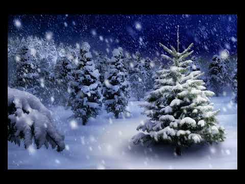 O, brad frumos! - cantec pentru copii (cu versuri)