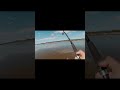 Video Thumbnail for Walleye  Fishing  #short #fishing #shorts