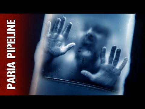 Waterline Stories and 2 more