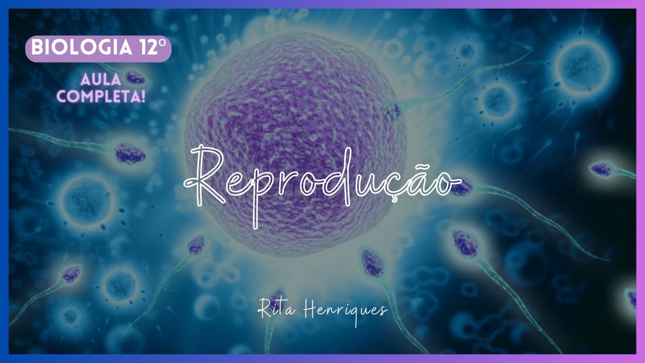 Biologia 12º - Reprodução | AULA COMPLETA | Rita Henriques