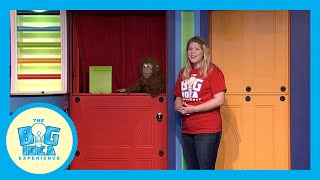 Adventures with Artie: Kindness