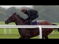 Frankel and his final season: Newmarket racecourse gallop