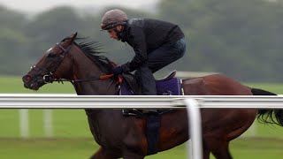 Frankel racecourse gallop
