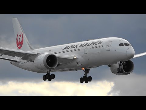 Esta é uma cena do pouso do JAL B787-8 B737-800 no Aeroporto de Itami. Aeroporto de Osaca