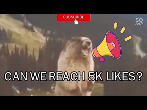 #NEW HERO | MELISSA MARKSMAN GAMEPLAY MLBB2022