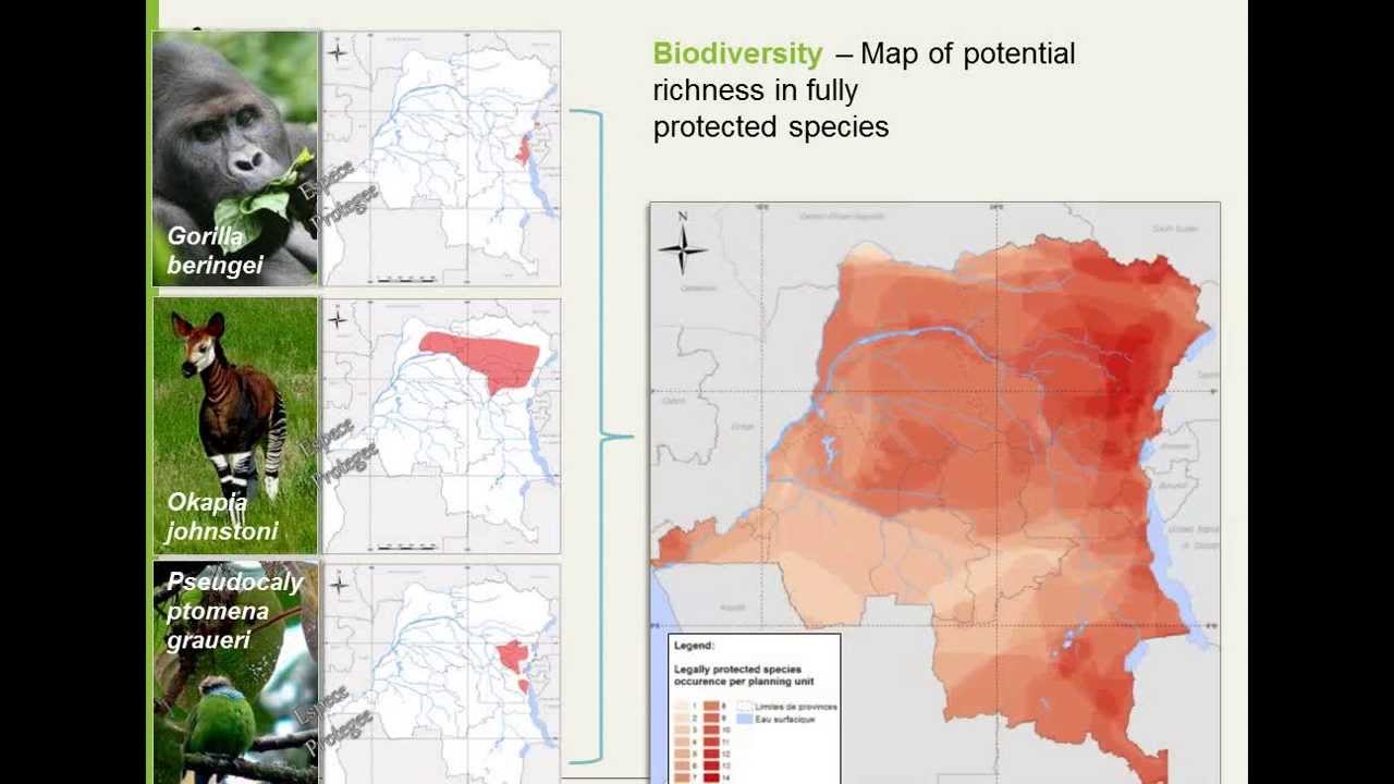 REDD+ Learning Session 15: REDD+  and Biodiversity Conservation