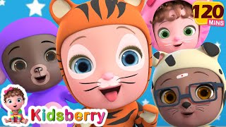 🐯 🦊 Learn Animal Sound 🐶 🐵 + More Kidsberry Nursery Rhymes & Baby Songs
