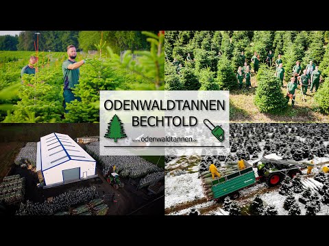 Odenwaldtannen Bechtold - Imagefilm