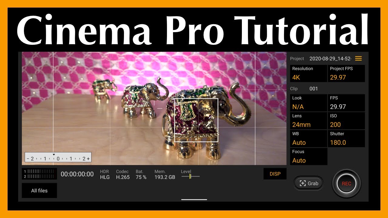 How to use Cinema Pro app with Sony Xperia 1 II