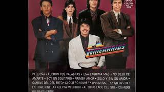 Los Temerarios - Solo y sin su amor (audio HQ HD)