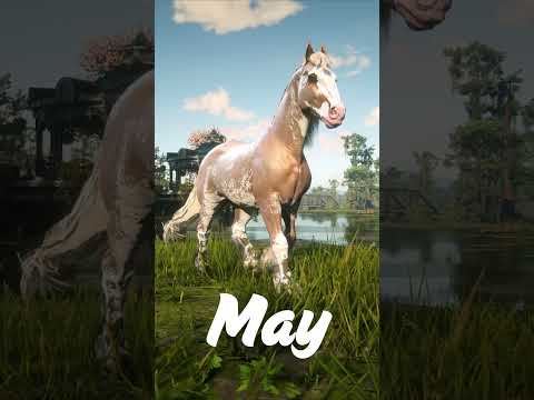 Which birthday month horse are you? 🤔