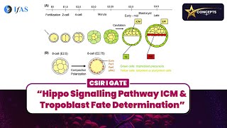 Download Lagu HIPPO SIGNALLING PATHWAY ICM u0026 TROPOBLAST FATE DETERMINATION I STAR CONCEPT I CSIR I GATE I Thumbnail