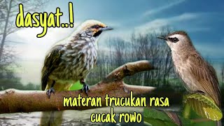 Download lagu masteran trucukan rasa cucak rowo mp3