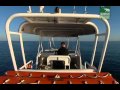 Crocodile Hunter Steve And The Whale Sharks 1 4