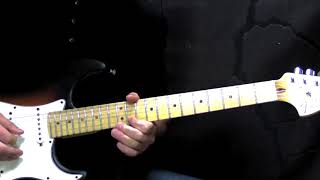 Stevie Ray Vaughan - The Sky Is Crying - Blues Guitar Cover