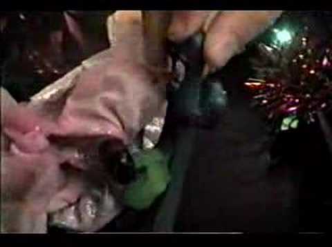 Plastic - Episode 002 (Part 2)