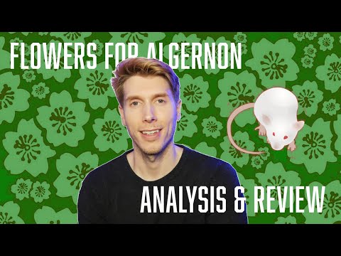 Flowers for Algernon | book review (some spoilers)