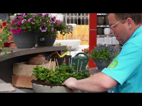 Intratuin Enschede YouTube-videominiatuur 21