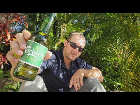 Carlsberg Danish Pilsner - Beer Review