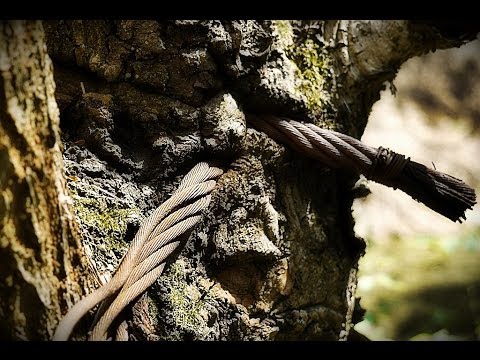 Lost Places XYZ Part 45 - Tief im Wald