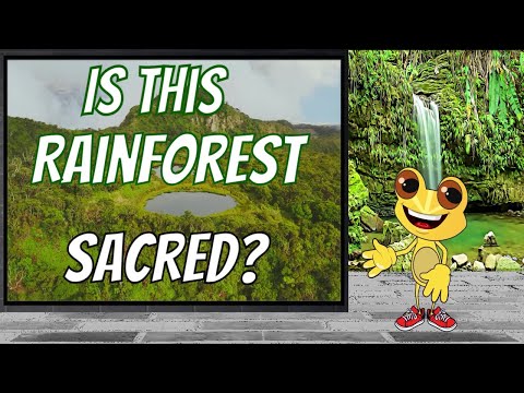 El Yunque - Sacred rainforest in Puerto Rico