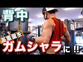 【筋トレ初心者】背中トレ!たまにはガムシャラにやるのも大切です
