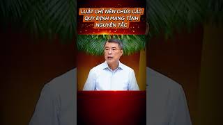 THỦ TƯỚNG LÊ MINH HƯNG I LUẬT CHỈ NÊN CHỨA CÁC QUY ĐỊNH MANG TÍNH NGUYÊN TẮC #viral 
