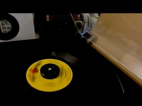 The Train From Kansas City - Shangri-las