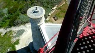 preview picture of video 'アフリカ大陸最南端の猫歩き, Cat's walk on Cape Agulhas lighthouse.'