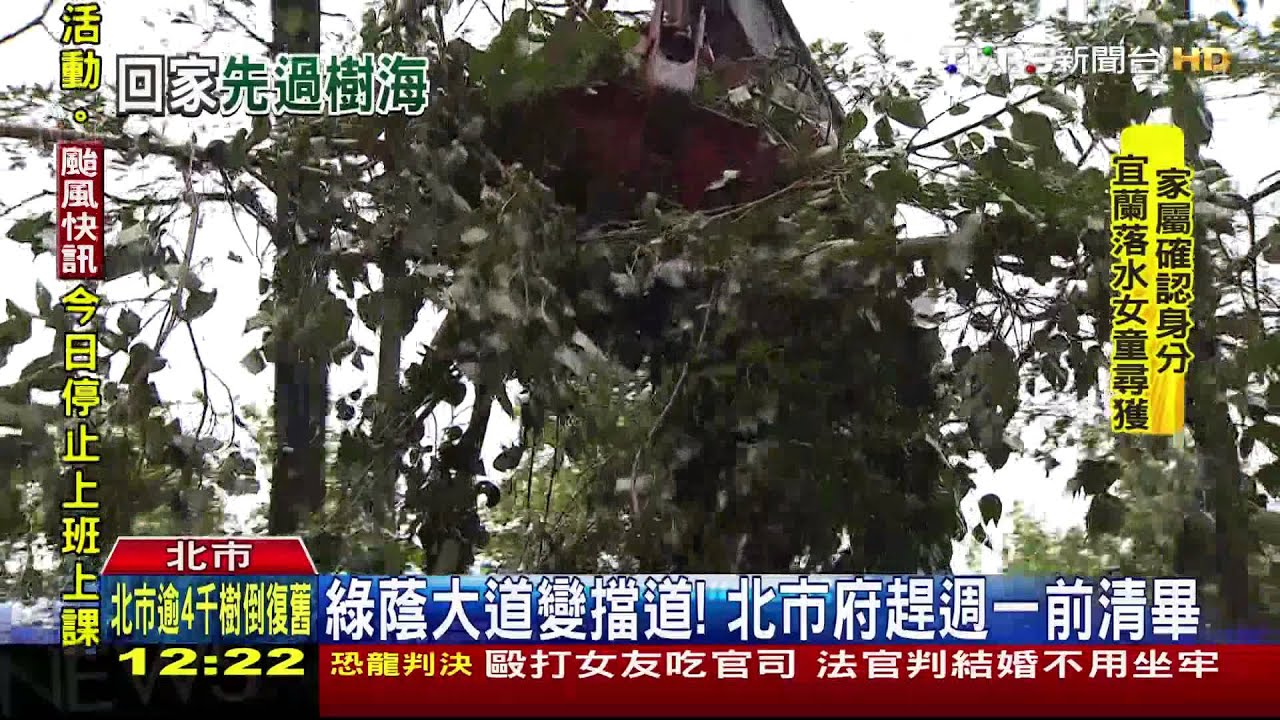 綠蔭大道變擋道! 北市府趕週一前清畢