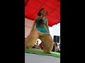 WapWon Mobi Sapna New Dance Laad Piya Ke Latest Haryanvi HD Video 2016