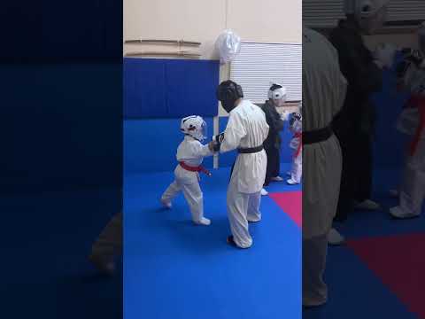 先輩の胸を借りてスパーリング #武道塾 #mma