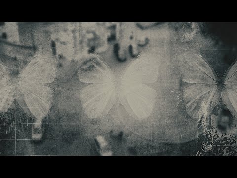 【BOF:NT】黒皇帝 feat. AKA - Belle de Nuit