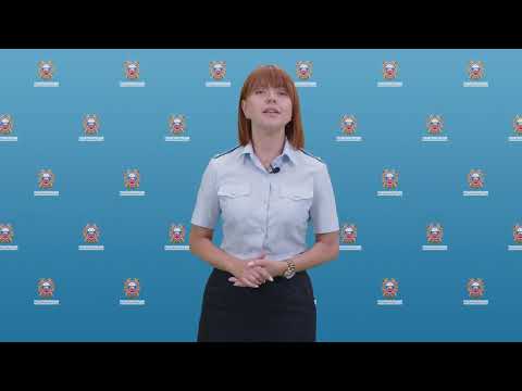 Сводка происшествий / 15.07.2024