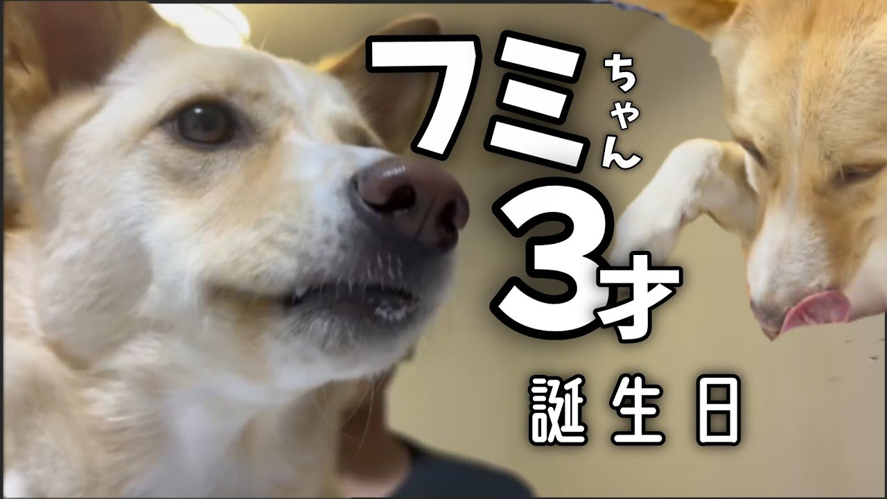 YouTubeサムネイル