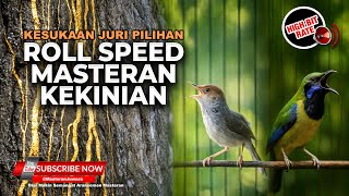 Download lagu 🔴 Live Cucak Cungkok Super Gacor Roll Tembak vs Prenjak Betina Tir Panjang Isian Pelatuk Sampit mp3