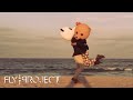 Fly Project - Toca Toca (LLP remix) 