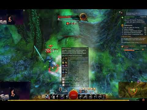 GW2 Best Herald Power Build