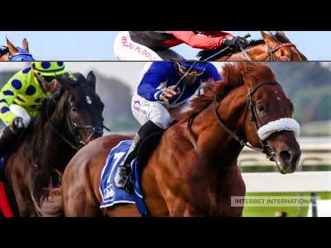 Exclusive Interview with Justin Snaith