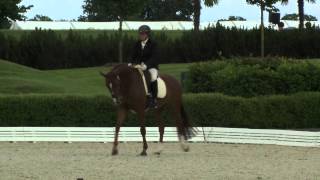Video von Sushaunna