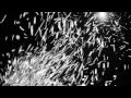 Spread The Love Ron Nagle Official Video