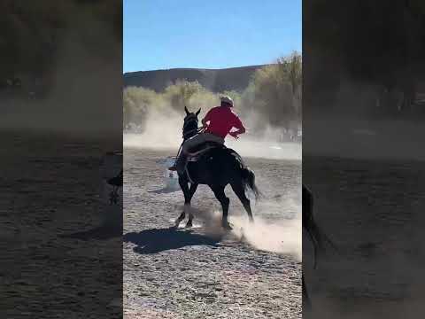 Centro Tradicionalista el "Malacara" las Plumas Chubut 🪶🏇 #caballos #horse #pruebasderienda