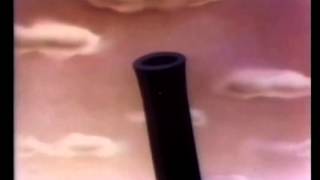 Delicate Steve  Don't Get Stuck Proud Elephants)