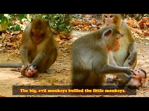 The little monkey screamed and struggled because it had fallen into the hands of the bad monkey.