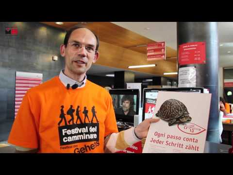 "FESTIVAL DEL CAMMINARE" - Video intervista a Matteo Faifer