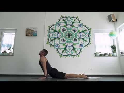 Ashtanga Yoga | Serie 1 für Beginner | Basics zum Mitmachen | Olga Shibaeva
