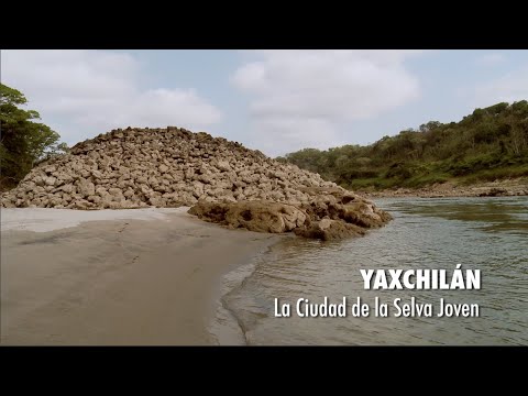 Yaxchilán, la ciudad de la Selva Joven. PIEDRAS QUE HABLAN